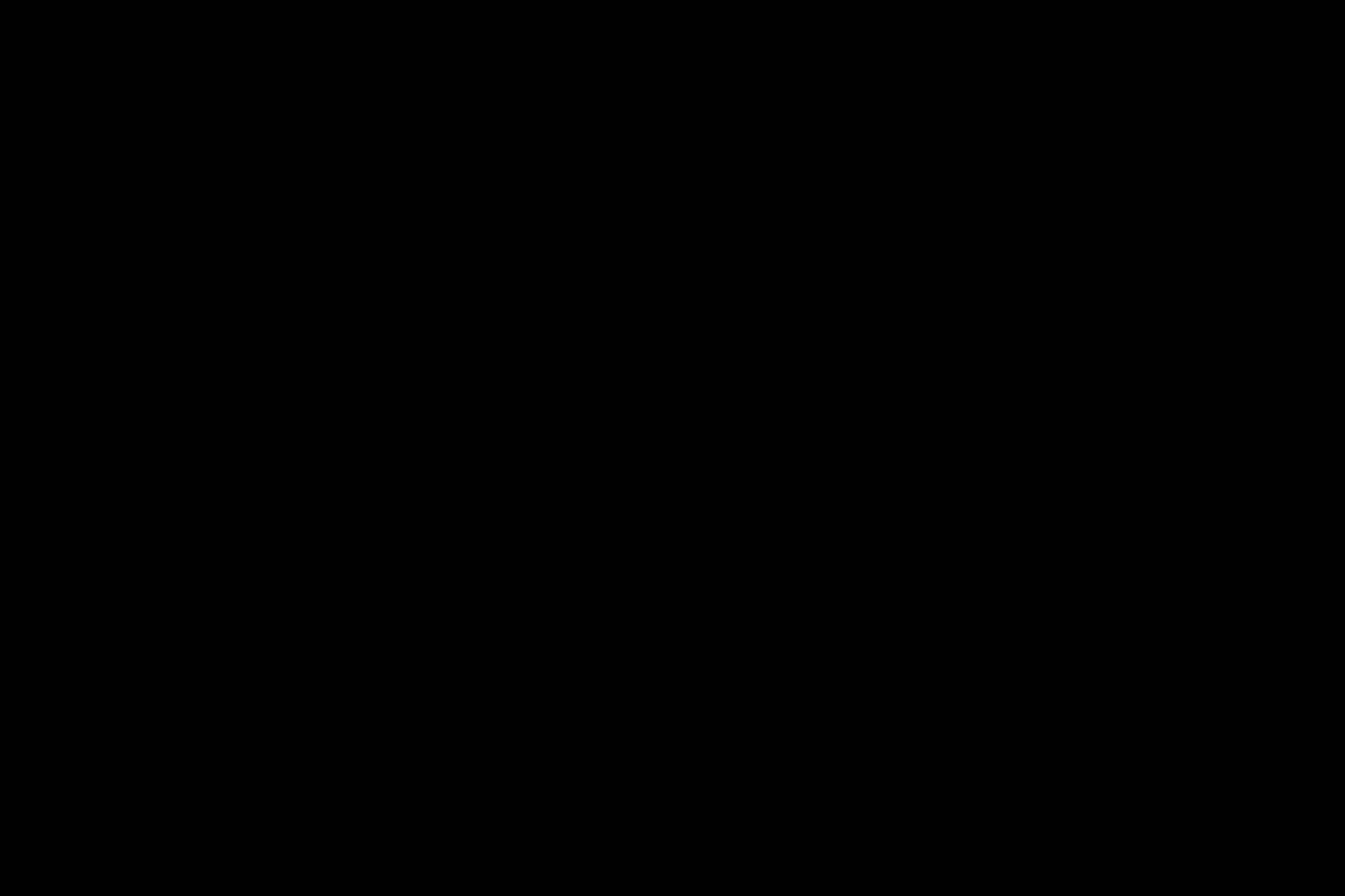 Twitch copy animated with emotes
